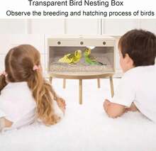Parakeet Nesting Box Transparent Bird Nest Box Wood Bird House For Cage Budgie Breeding Boxes For Parrotlets, Lovebirds And Other Small Sized Birds 7.8" X 4.7" X 4.7" - 透明加大碼 - 查看 5