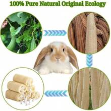 4PCS Rabbit Loofah Chew Toys, Organic Natural Loofah Toys Teeth Cleaning Bath Tools, Handmade Fiber - Rich Bunny Chew Toys Guinea Pig, Hamster, Rat, Chinchillas - 最初的 - 查看 6