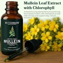 Miriyalyad Betterbrand Mullein Drops For Lung Detox - Mullein Leaf Tincture With Chlorophyll - Helps Support Respiratory Health, Alcohol-Free, 1 Month Supply - 60ml - 1PCS - 查看 8