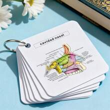 Tarjetas de estudio de flashcards del sistema esquelético en español, tarjetas de anatomía ósea humana para enfermería, estudiantes, la guía definitiva sobre la estructura y la identificación de los huesos humanos, tarjetas de flashcards de anatomía del esqueleto, NCLEX - Multicolor - Ver 3