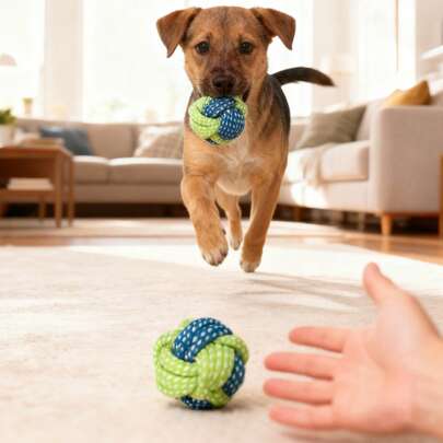 Durable & Stylish Dog Rope Toy, Interactive Pet Toy