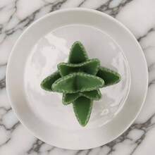 Conch Shape Jewelry Dish Ceramic Holder Ring Trinket Tray, Ocean - Themed Decorative Trinket Dish, Suitable Mother Friend Sister, Gifts Women, Home Decor Trinket DishSea Blue - 蘆薈 - 查看 4