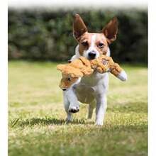 Kong Ardilla con Cuerda Interior Chico(CHICO) - Multicolor - Ver 4