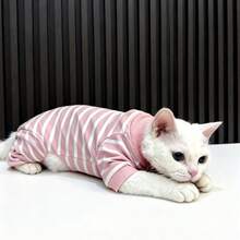 Áo sơ mi bốn chân sọc hoạt hình mùa Thu/Đông, quần áo ấm áp thân thiện với da bảo vệ bụng cho mèo không lông, áo lót cho mèo Anh lông ngắn, mèo Ragdoll, mèo Sphynx, quần áo chống rụng lông cho mèo. - Hồng - Xem 6