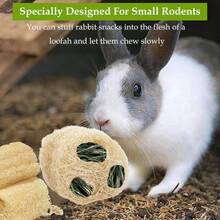 4PCS Rabbit Loofah Chew Toys, Organic Natural Loofah Toys Teeth Cleaning Bath Tools, Handmade Fiber - Rich Bunny Chew Toys Guinea Pig, Hamster, Rat, Chinchillas - 最初的 - 查看 5