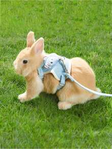 一套泰迪熊胸背带和牵引绳，兔子牵引绳，兔子配件，胸背带，小型动物项圈和牵引绳，带牵引绳的胸背带，兔子胸背带，可调节牵引绳，兔子宠物用品，适合小型和中型宠物