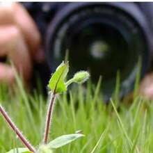 LIGINN 二合一相机镜头套装，广角镜头+微距镜头，适用于佳能、尼康49/52/58mm相机镜头，轻松切换广角和微距模式