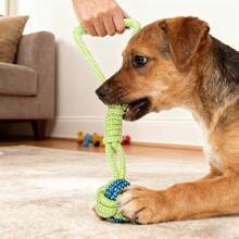 Durable & Stylish Dog Rope Toy, Interactive Pet Toy - Multicolor - View 2
