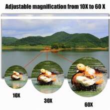 10-380x100 专业高清双筒望远镜，高倍率双筒望远镜，绝佳圣诞礼物，适合观鸟、徒步旅行、观光和音乐会。 - 彩色 - 查看 4