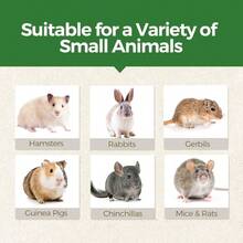 Guinea Pig Toys, 4PCS Strawberry Shaped Hamster Toys, Natural Guinea Pig Chew Toys Teeth Grinding, Hamster, Gerbil, Chinchilla, Rat - 4個草莓口味 - 查看 7