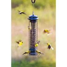 Brome Squirrel Solution 150 Squirrel-Proof Bird Feeder, 2.6lbs Seed Capacity - 1 - 查看 5