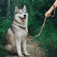 1条尼龙伸缩狗绳，高强度弹性牵引绳，适用于大型犬，防拉扯 - 彩色 - 查看 7