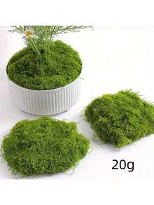 逼真的仿真苔藓，适用于DIY工艺品和家居装饰 - 栩栩如生的绿色植物草，非常适合微缩景观、婚礼装饰、圣诞节、新年道具装饰。 - 彩色 - 查看 6
