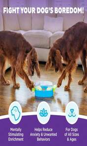 Outward Hound By Nina Ottosson Puppy Hide N' Slide Treat Puzzle Enrichment Dog Toy, Green - MàuH - Xem 2