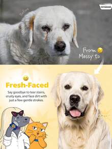 مشط عين حيوانات أليفة من الفولاذ المقاوم للصدأ قطعة واحدة، منظف لبقع الدموع اللطيف للكلاب والقطط، يزيل بأمان القشور والمخاط من العين، أداة تجميل احترافية، هدية عيد رأس السنة المثالية للحيوانات الأليفة