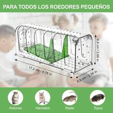 GuDoQi Trampa para Ratones, Juego de 2, Trampas Ratas para Interiores Sin Matar, Reutilizable, Fácil de Limpiar y Instalar, para Cocina, Jardín, Hogar, Oficinas, Campos, Verde - Verde - Ver 6
