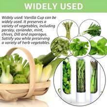 1个/2个装保鲜盒，用于保鲜蔬菜、芹菜和氦气的风味，适用于冰箱冷藏，可保鲜罐装香草的风味，可将薄荷冷藏保存，保鲜蔬菜风味2-3周，蔬菜保鲜用品，返校用品，礼品，丰收节，家庭聚餐 - 彩色 - 查看 5