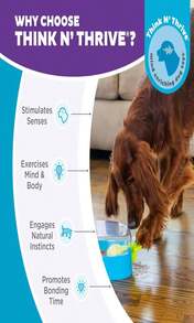 Outward Hound By Nina Ottosson Puppy Hide N' Slide Treat Puzzle Enrichment Dog Toy, Green - MàuH - Xem 6