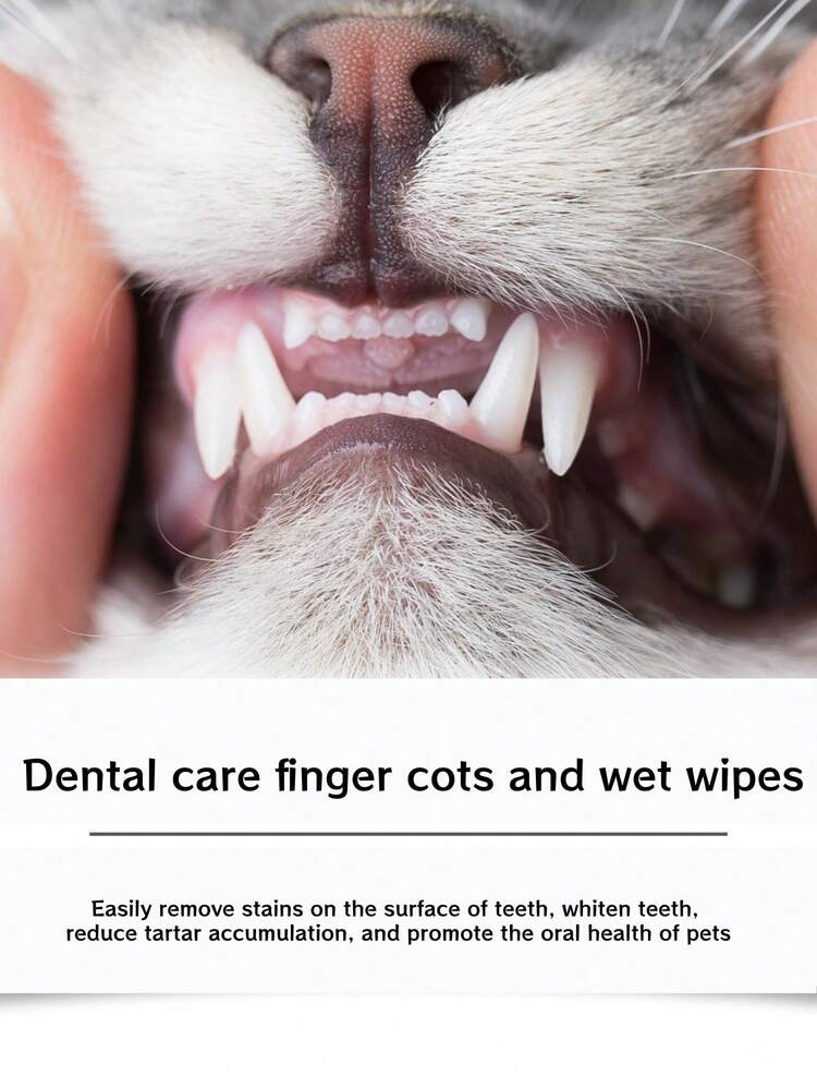 YEGBONG Large Capacity Dog Teeth Cleaning Finger Wipes, Suitable For Dogs & Cats | Pre-Soaked, Easy To Use, Freshen Breath, Convenient Oral Care, No Brushing Required - Multicolor - View 5
