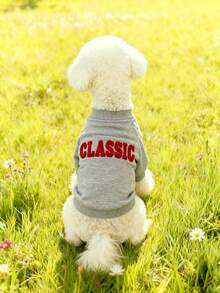 1pc HUITAIYANG Pet Sweatshirt, Dog Sweatshirt Dog Clothes, Pet Autumn/Winter Clothes, Cat Sweatshirt Cat Anti-Shedding Sweatshirt, Comfortable Soft Pet Winter Clothes, Christmas Pet Gift, Suitable For Medium And Small Dogs And Cats - Multicolor - View 11