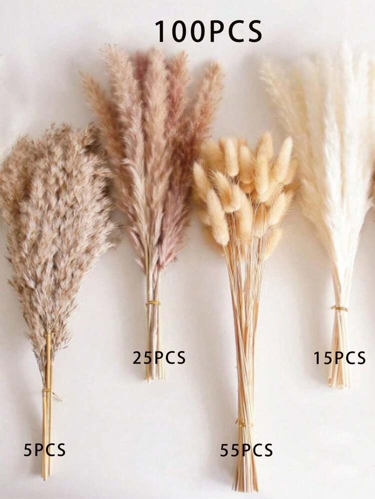 35/65/130pcs Natural High-Quality Reed Grass Decor - Dried Rattan Flowers, Suitable For Home, Wedding, Event And Holiday Decoration (Christmas, Halloween, Easter, Thanksgiving) - Multicolor - View 7