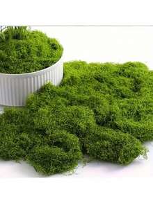 逼真的仿真苔藓，适用于DIY工艺品和家居装饰 - 栩栩如生的绿色植物草，非常适合微缩景观、婚礼装饰、圣诞节、新年道具装饰。 - 彩色 - 查看 9