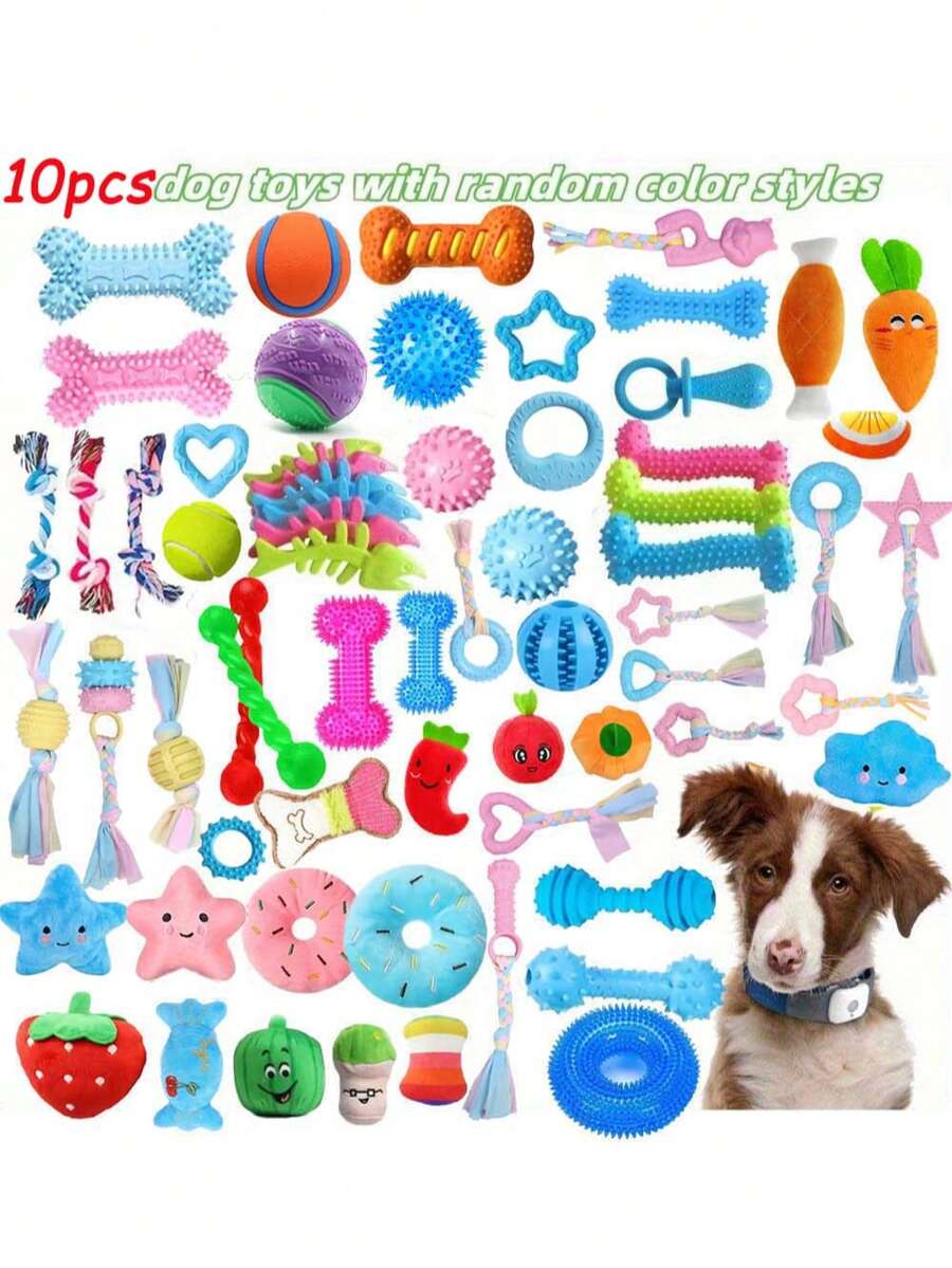 10pcs Random Color & Style Durable Chew Toys - Spring/Summer Outdoor Breathable Interactive Training Chew Toys, Various Shapes & Textures, Plastic Material, Diverse Colors & Styles, Suitable For Small & Medium Dogs. Large Dogs Have Strong Biting Force And May Easily Damage Toys.