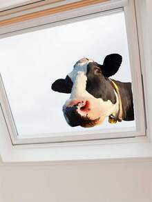 1张创意个性窗贴，PVC自粘塑料动物贴纸，彩绘奶牛和马头图案，不规则形状，适用于玻璃门窗装饰，可用于家居背景墙和美化，家居墙面装饰 - 彩色 - 查看 12