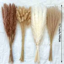 25/50/80/160pcs Natural Premium Pampas Grass Decor - Dried Rattan Flowers For Home, Wedding, Event & Festive Season Decorations (Christmas, Halloween, Easter, Thanksgiving) - Multicolor - View 5