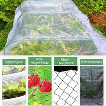 Pflanzenhüllen - Verschiedenfarbig - Übersicht 4