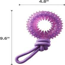Outward Hound 2-In-1 Dental Dog Chew Wheel Ring &Amp; Rope Tug Toy For Teething Puppies &Amp; Dogs, Mint-Scented &Amp; Teeth-Cleaning, 9-Inch, Purple - ColorB - 查看 7