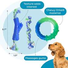 Outward Hound 2-In-1 Dental Dog Chew Wheel Ring &Amp; Rope Tug Toy For Teething Puppies &Amp; Dogs, Mint-Scented &Amp; Teeth-Cleaning, 9-Inch, Purple - ColorE - 查看 4