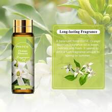 1pc 10ml/0.33fl.Oz Fragrance Oil Perfume Scent, Fruit Scent Essential Oils With Dropper PHATOIL Coconut& Vanilla Bubble Gum Sea Breeze Parma Violet Orange Blossom Freesia Marshmallow Apple Mango Strawberry Cherry Coconut Litchi Peach Pineapple