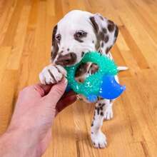 Outward Hound 2-In-1 Dental Dog Chew Wheel Ring &Amp; Rope Tug Toy For Teething Puppies &Amp; Dogs, Mint-Scented &Amp; Teeth-Cleaning, 9-Inch, Purple - ColorD - 查看 6