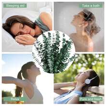 5/10/15/20pcs Eucalyptus Leaves In Multi-Color Preserved Eucalyptus Branches, DIY Flower Arrangement, Family Wedding Anniversary Decoration - Multicolor - View 5