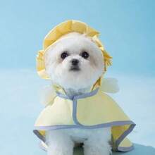 Pet Dog Angel Raincoat Summer Rain Waterproof Dog Clothes Small Dogs Out Cape Style Poncho Supplies Dog Accessories Pet Clothes - Multicolor - View 3
