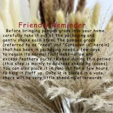 Natural Dried Pampas Grass Decor, Brown Pampas Grass, Bunny Tails Dried Flowers, Reed Grass Bouquet For Wedding Boho Flowers Home Table Decor, Fall Decor,Rustic Farmhouse Party - Brown - View 10