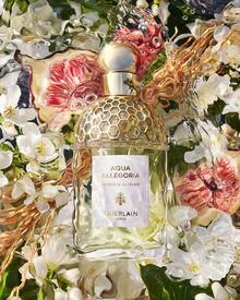 Guerlain Aqua Allegoria Nerolia Vetiver For Unisex Eau De Toilette Spray, 4.2 Ounce - 4.2 液體盎司(1 包) - 查看 6