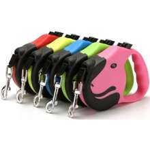 Standard Leashes - Multicolor - View 4