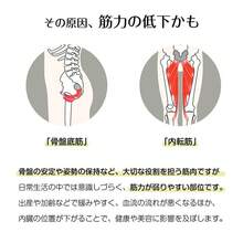 筋トレ 自宅 ダイエット器具 内転筋シェイパー 骨盤底筋トレーニング トレーニング グッズ トレーニングアイテム 女性 エクササイズ 内転筋 骨盤底筋トレーナー - ブルー - チェックする 9
