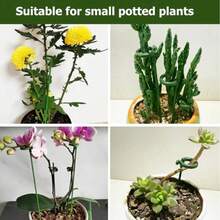 1 pièce - Supports de plantes, supports de pot de fleurs en forme de tiges de soutien pour plantes, tuteur en mousse pliable pour plantes grimpantes d'intérieur - Piquets pour grimpeurs en pot - Grands bâtons de treillis d'intérieur pour plantes d'intérieur - Accessoires - Multicolore - Voir 5