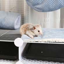 3pcs Sugar Glider Double-Layer Hammock, Ferret Hideaway Tunnel House, Pet Mat Combo Set, Suitable For Small Pets Like Sugar Glider, Hamster, Rabbit