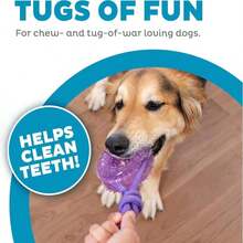 Outward Hound 2-In-1 Dental Dog Chew Wheel Ring &Amp; Rope Tug Toy For Teething Puppies &Amp; Dogs, Mint-Scented &Amp; Teeth-Cleaning, 9-Inch, Purple - ColorB - 查看 2