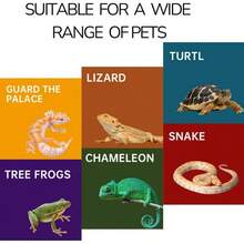 Reptile Hide, Terrarium Habitat Decor Leopard Gecko, Bearded, Ball Python, Snake, Tortoise Resin, Medium - Resin + Medium - View 2