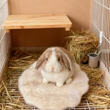 1pc Super Soft & Warm Hamster/Rabbit Sleeping Mat/Pad, Small Pet Cage Pad Suitable For Small Pets In Autumn/Winter (Not Machine Washable)