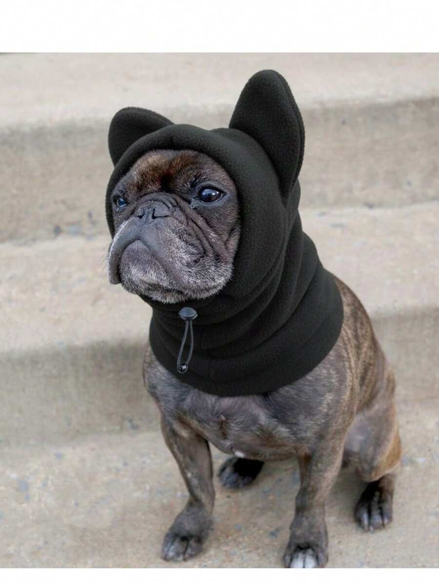 Cute Dog's Fleece Bat Warm And Windproof Hat Soft Warm Adjustable French Bulldogs Winter Hats Knitted Pet Supplies Dog Clothing Accessories Full Coverage Pet Hat - Multicolor - View 1
