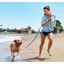 Standard Leashes - Multicolor - View 5