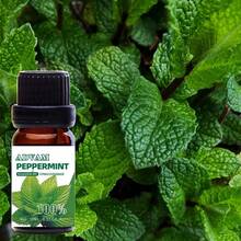 10ml Essential Oils Parfum Home Perfume Jasmine,Grapefruit,Lemon,Peppermint,Magnolia,Musk,Eucalyptus,Tea Tree,Strawberry,Lotus For Diffusers,Candles Making,Soaps,Car Aromatherapy,Spa Oil,Aromatherapy,House Freshener-Home & Living / Home Decor / Home Fragrance Products Bestfriend Gifts Gift For Woman - Multicolor - View 6