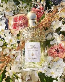 Guerlain Aqua Allegoria Nerolia Vetiver For Unisex Eau De Toilette Spray, 4.2 Ounce - 4.2 液體盎司(1 包) - 查看 3