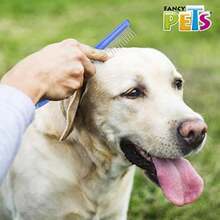 Fancypets Fancy Pets Peine de Metal para Perro(Muda Pelo Largo) - Multicolor - Ver 5